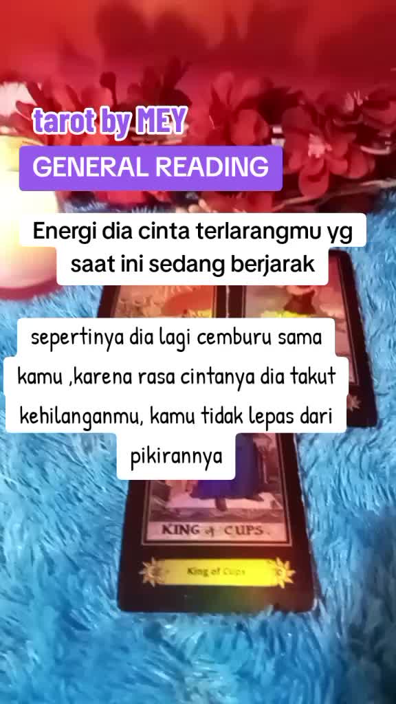 @🇲🇨MADAM MEY🇲🇨