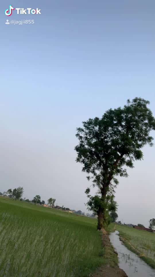 @jagjeet singh2626