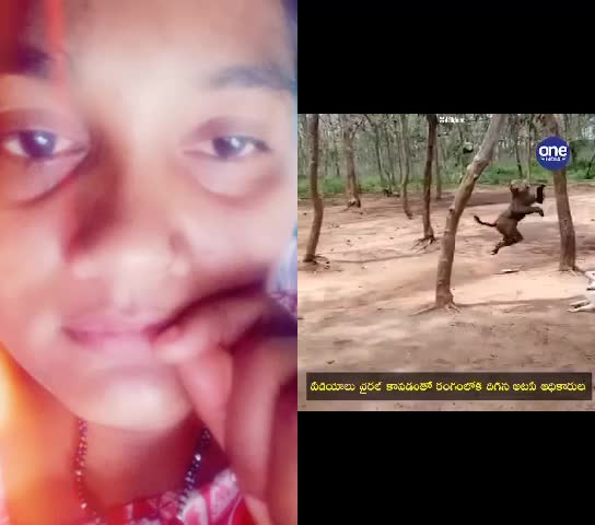 @user310002