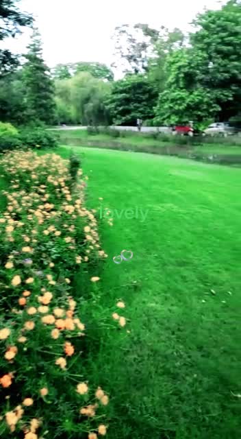 @user3345075890837