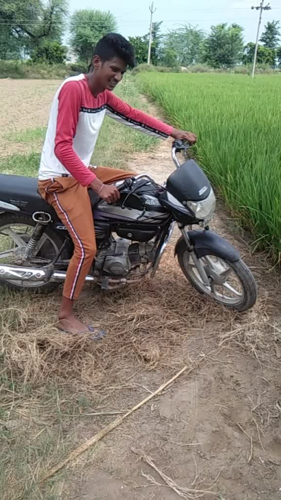 @pali.saab