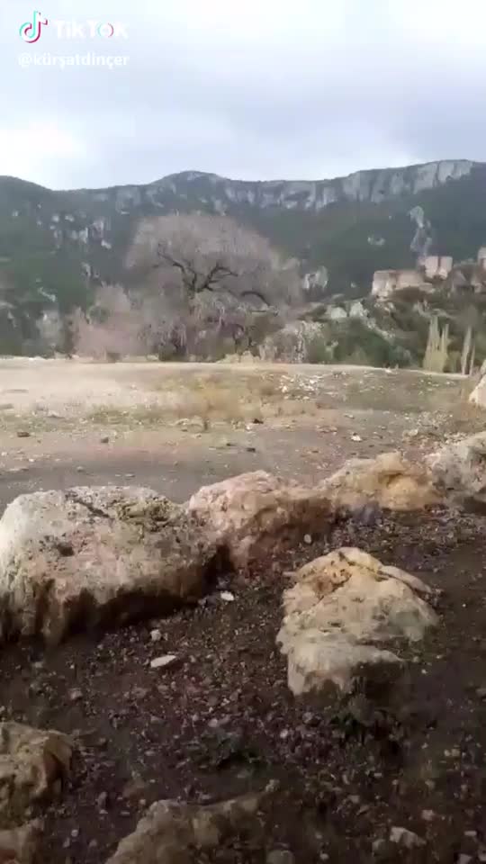 @mustafaatalay48