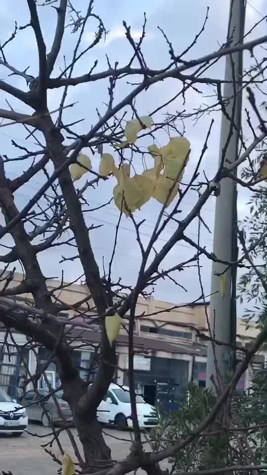 @Ömer Aksan