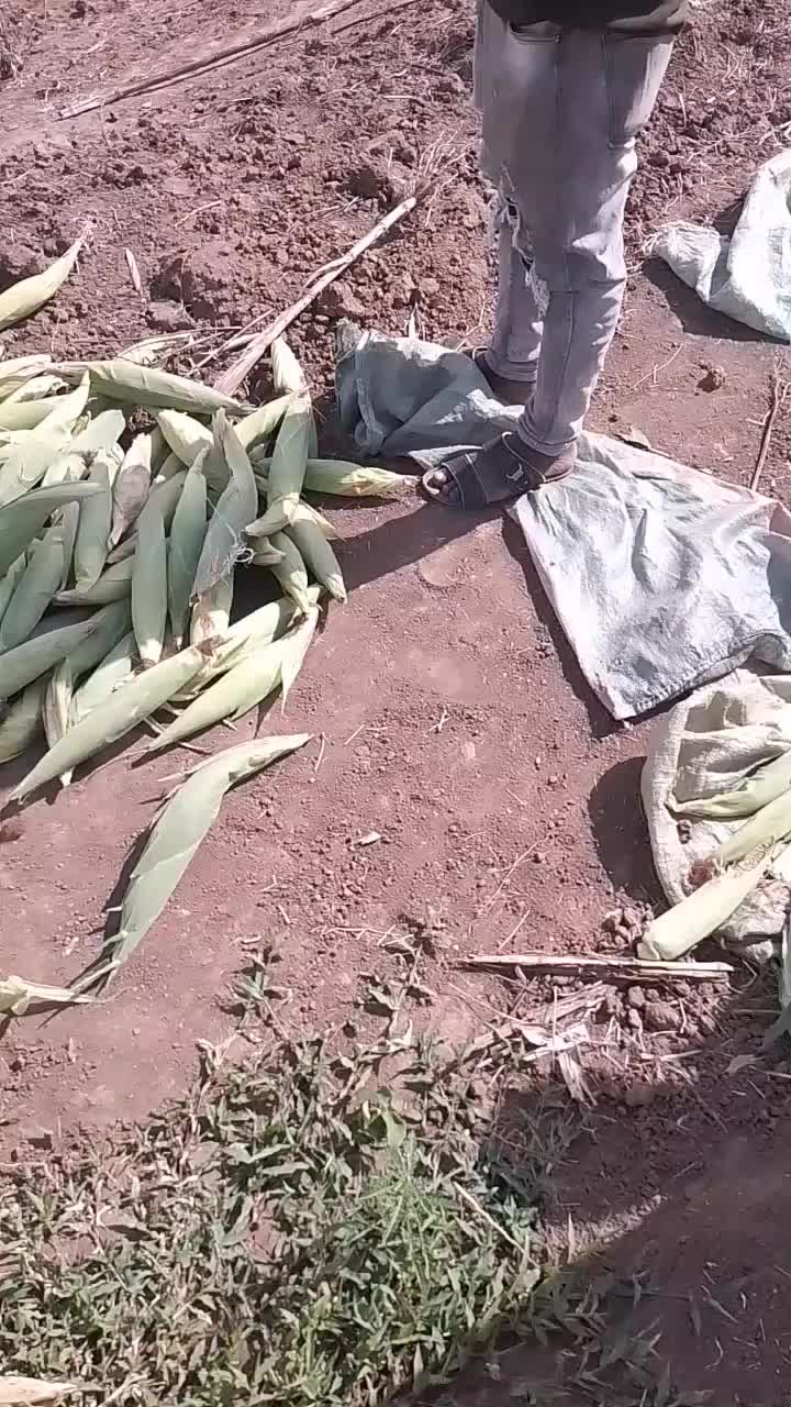 @user565810775125