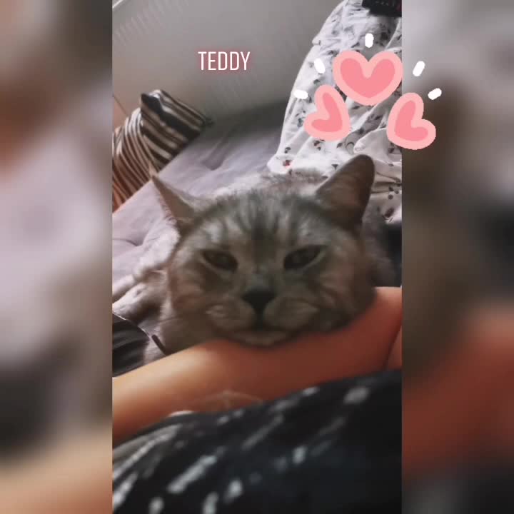@___SL___