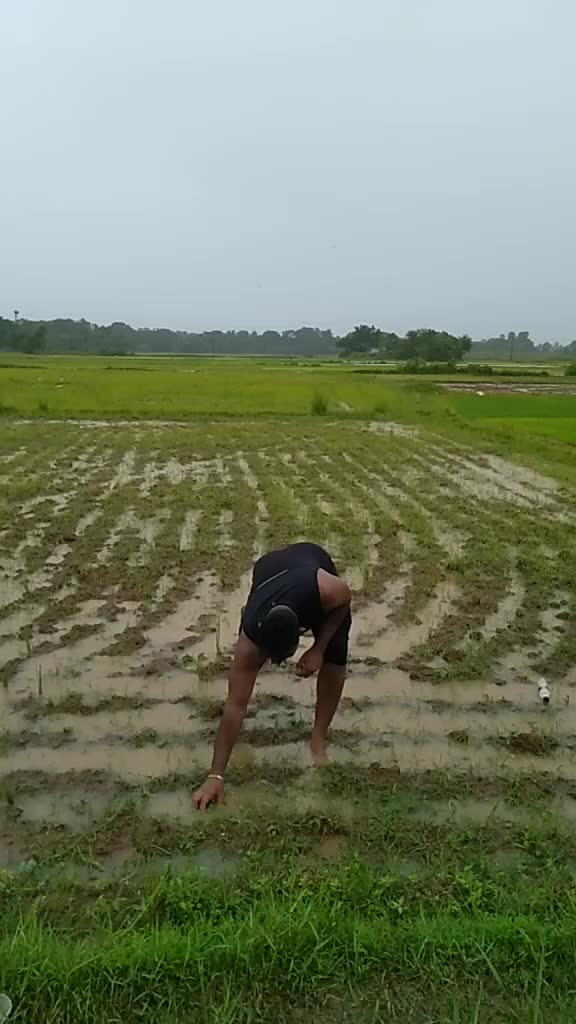 @Debasish Panda