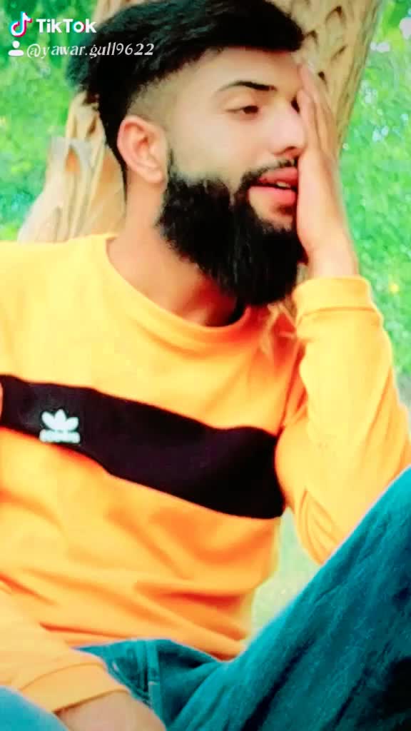 @yawar gull