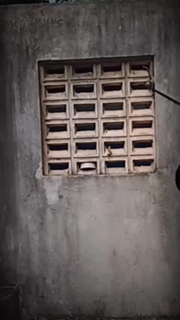 @Manikandan Mani