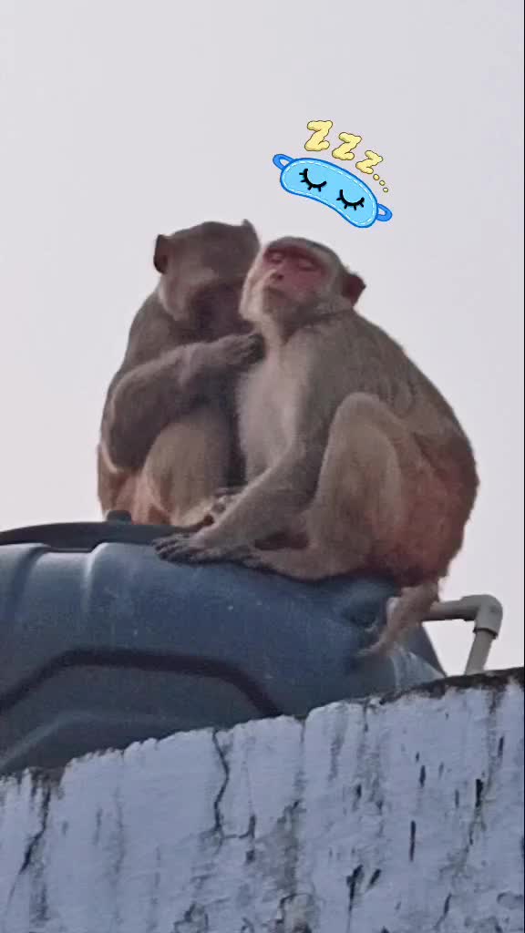 @sachiin_saxena