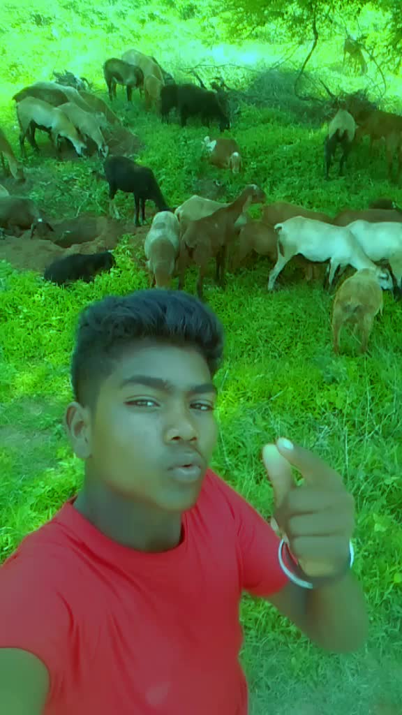 @Mabbu Star⭐