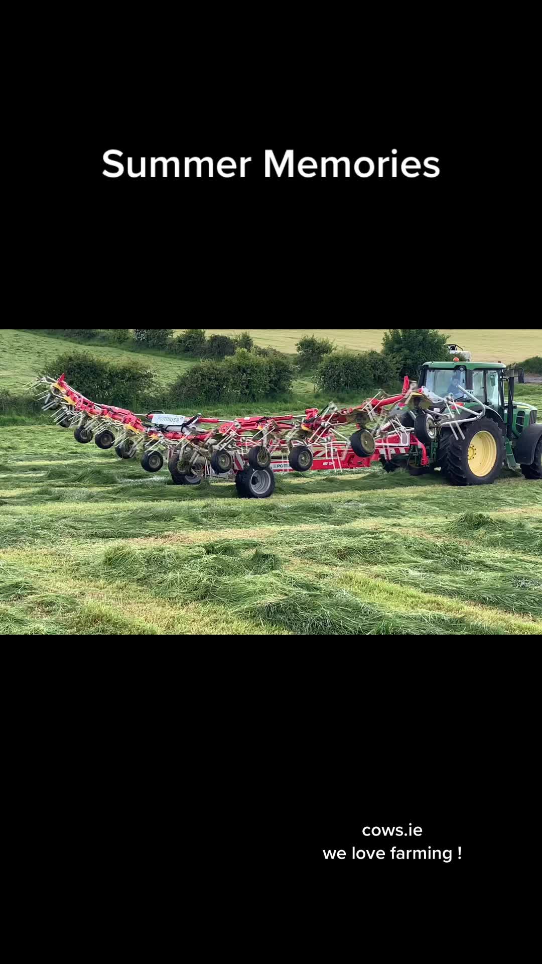 @cows.ie