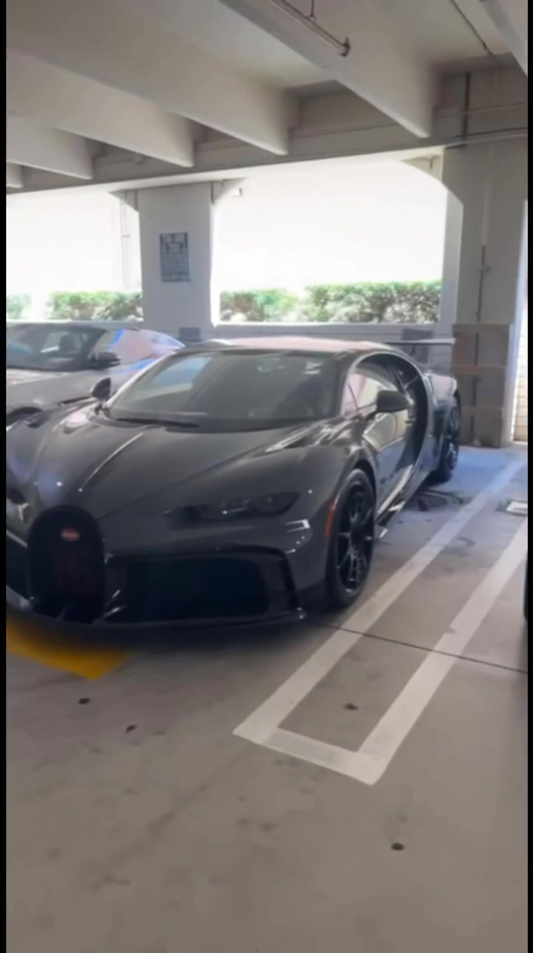 @Exotics.mx