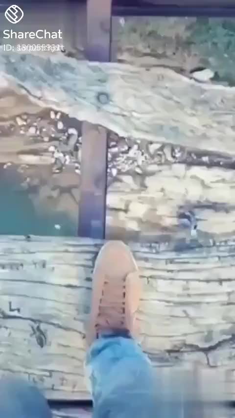 @user7855005126714