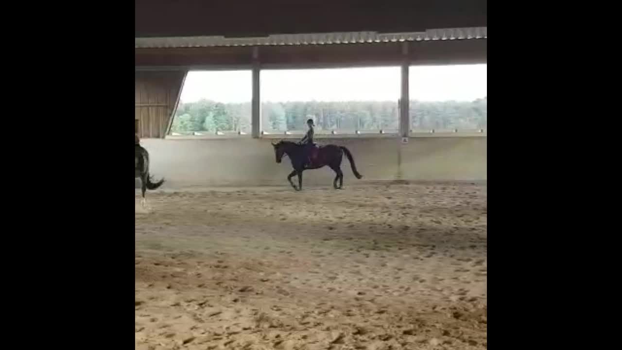 @My.soulhorse❤️🥺✌🏻