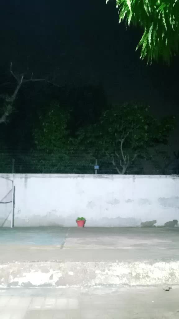 @K Y REDDY
