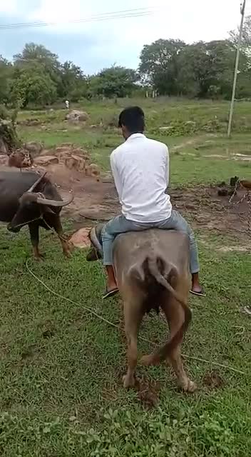 @Saikrishna