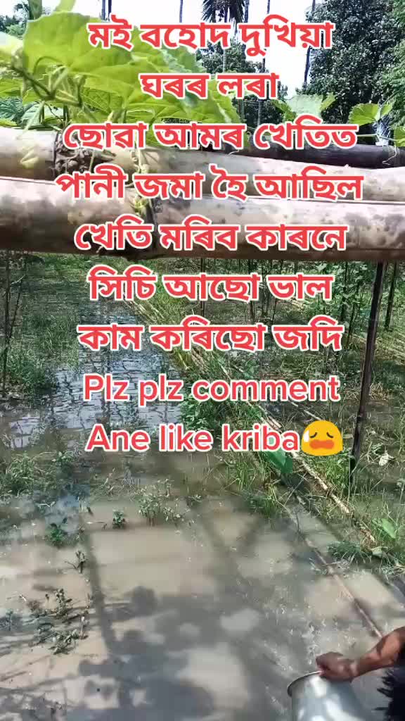 @Raj Malik
