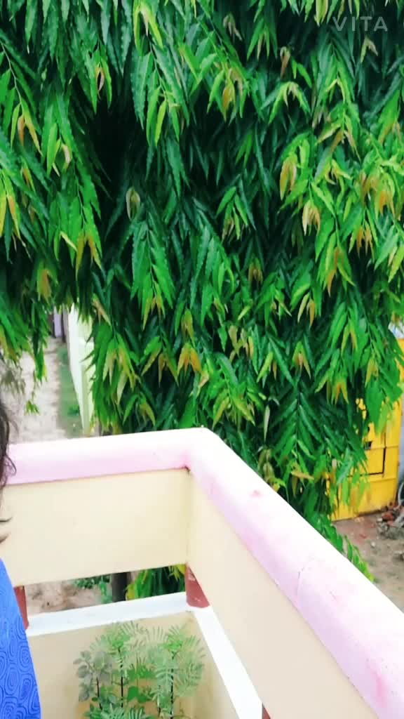 @Shraddha Dwivedi