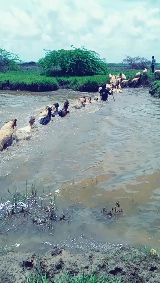@ખીમાનાથા ખીમાનાથા