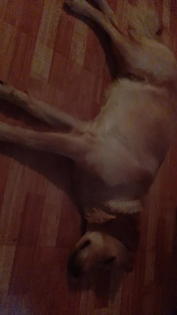 @Juhi Singh Sikarwar