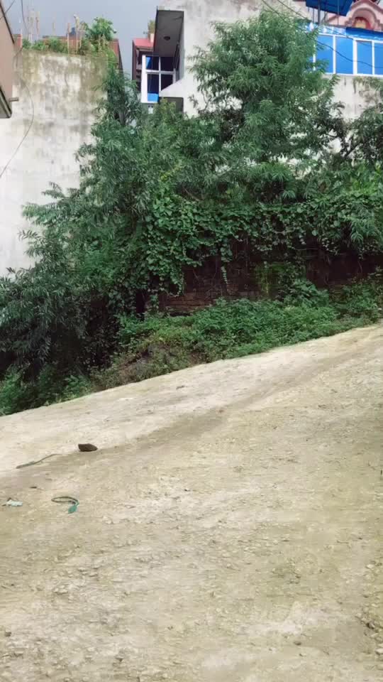 @Aaisha Shrestha
