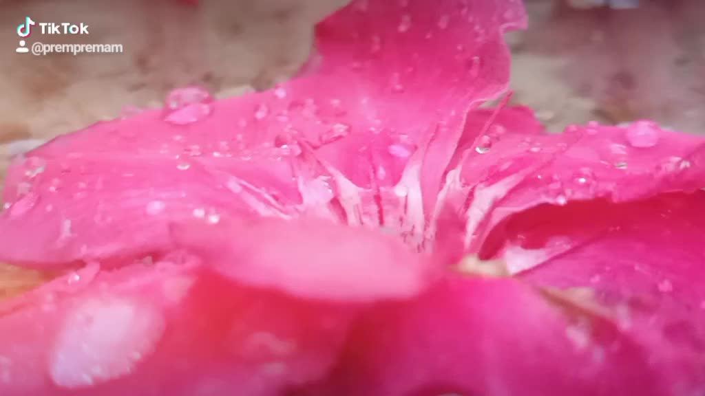 @Prem Premam143