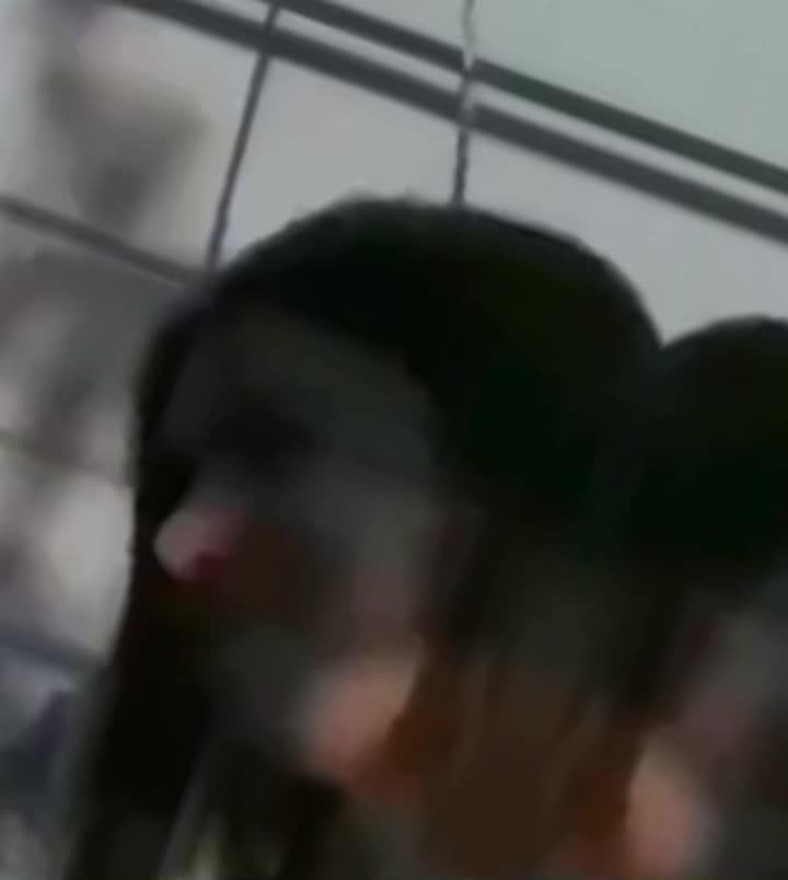 @نواب زادي