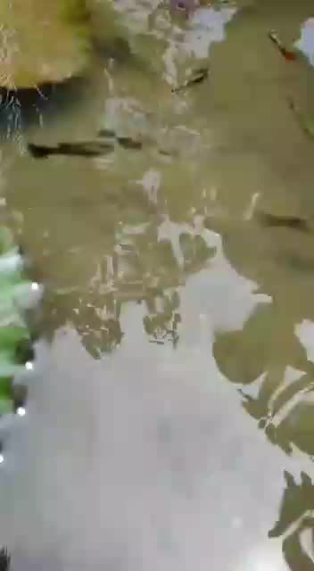 @Nidheesh k