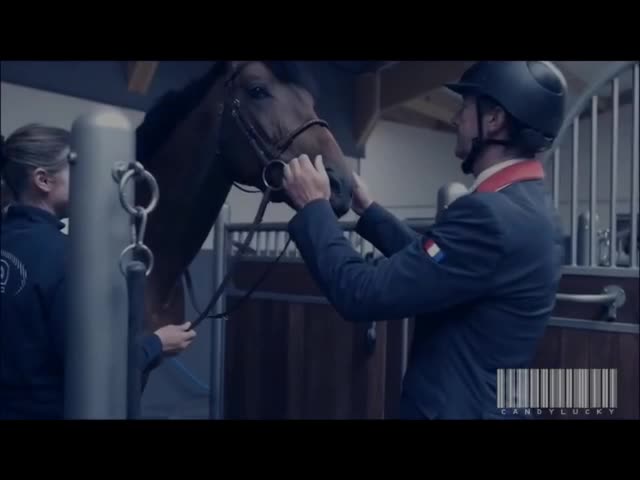 @Horse Editz!