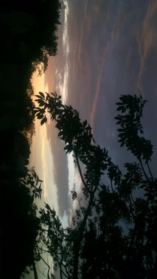 @user30051028828