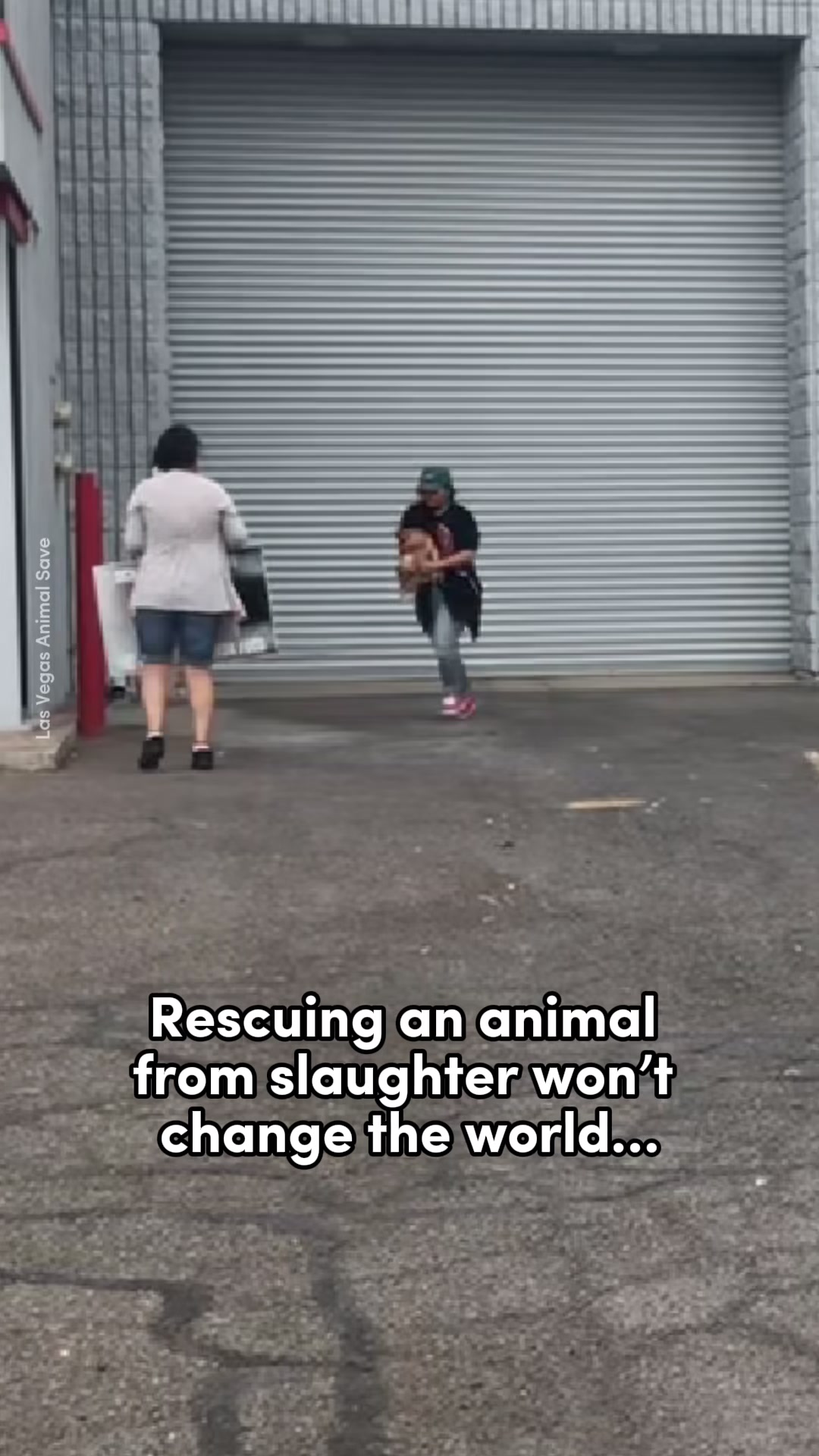 @Animal Save Movement