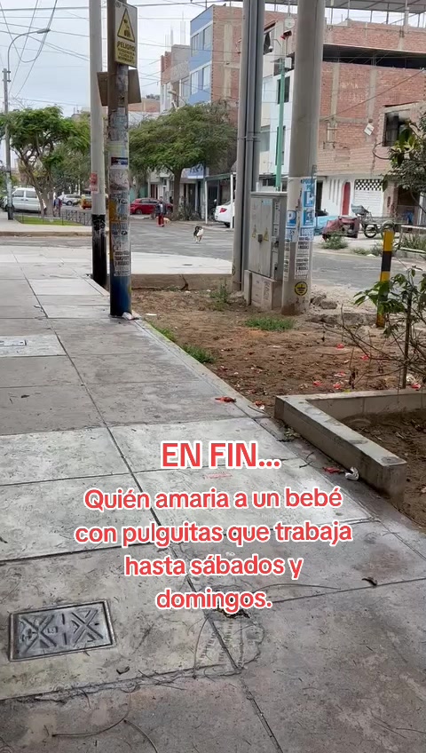 @Thor y Linda 🐾🐕❤️