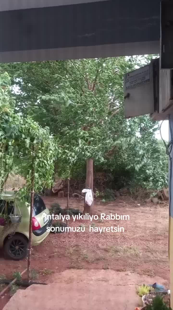 @aslsungur4