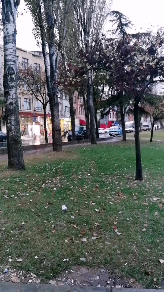 @ezgi 1987