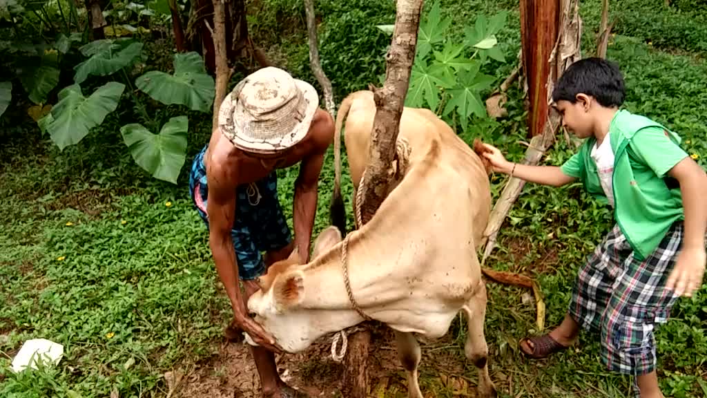 @Charan