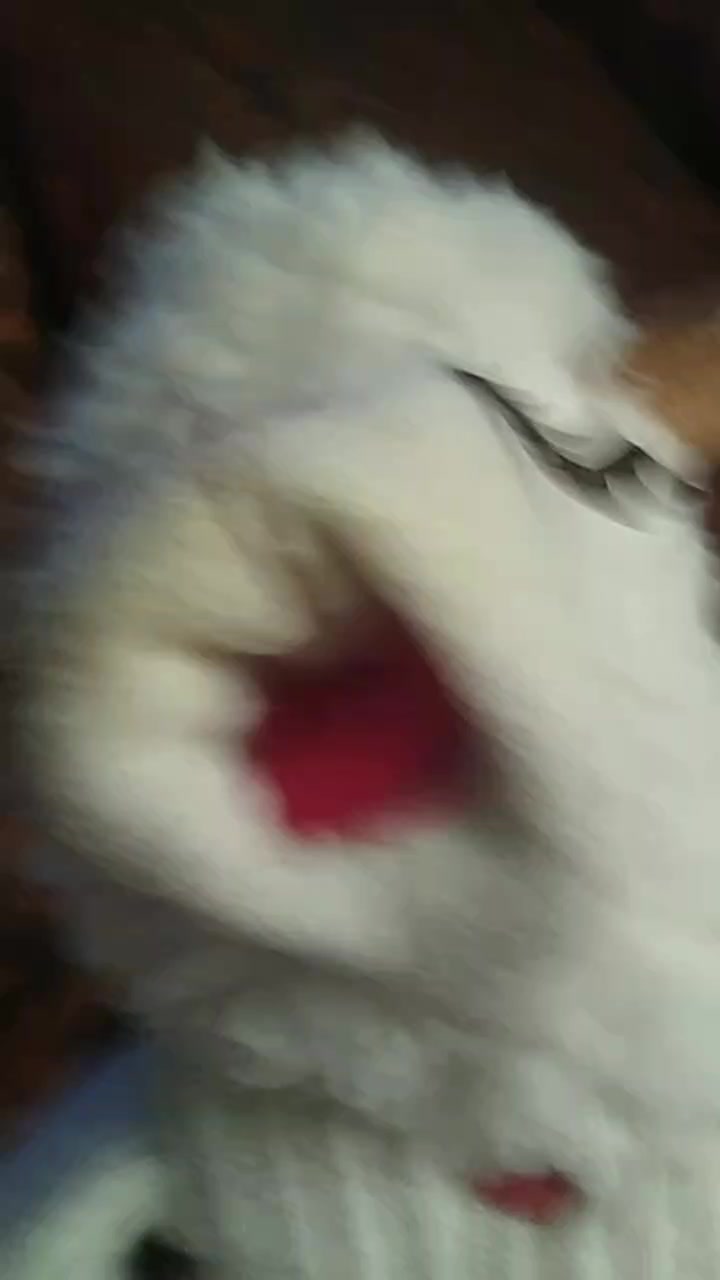 @Trooooooooooooooooth