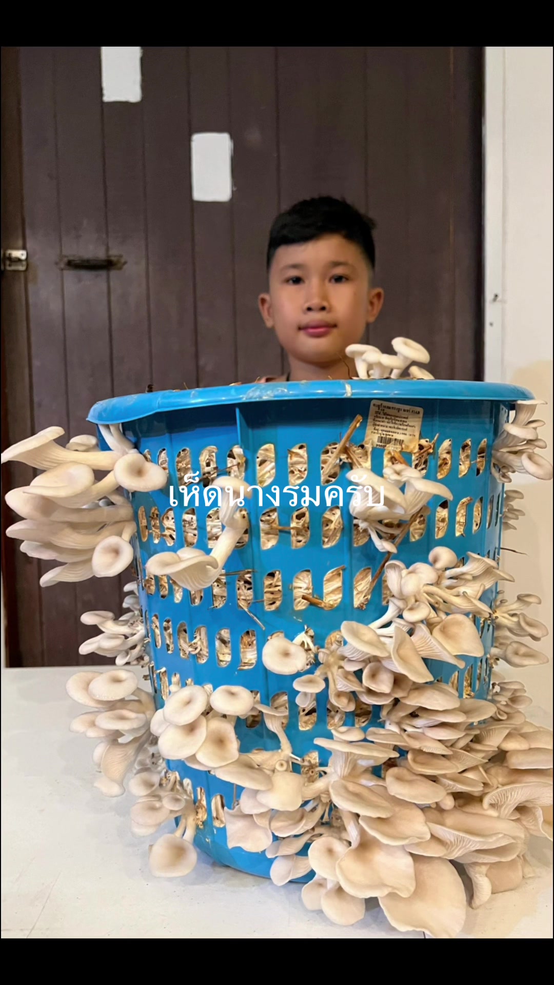 @เกษตรกรรม บูรณาการ