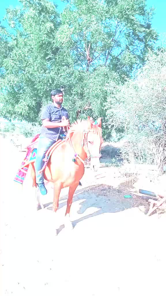 @Jaspalsinh Rathore