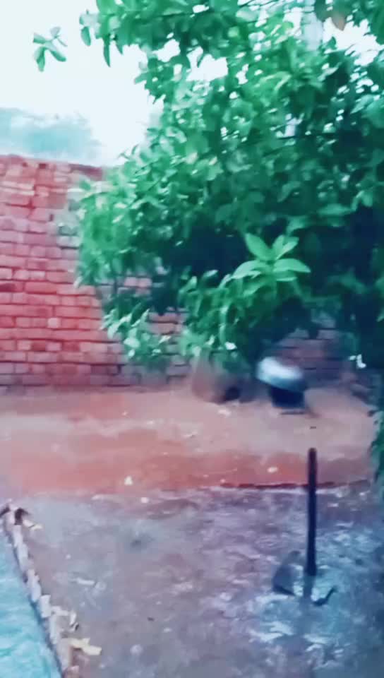 @Rk batoye