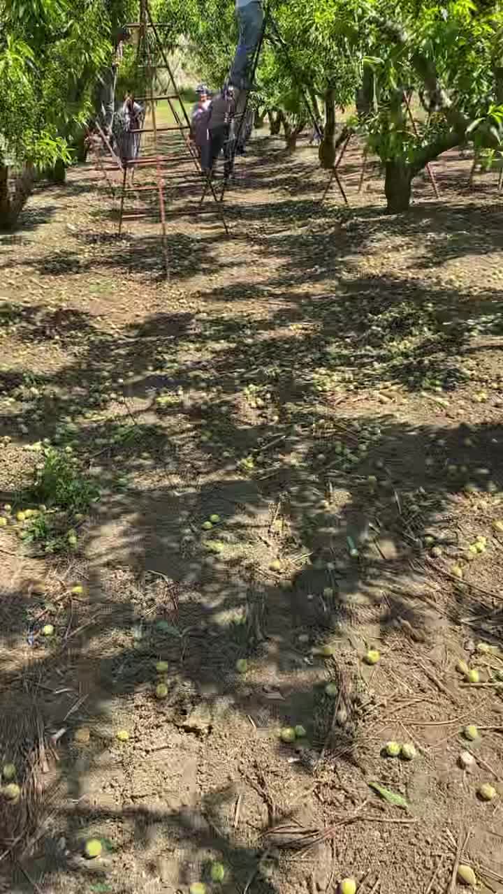 @Hüseyin Şen
