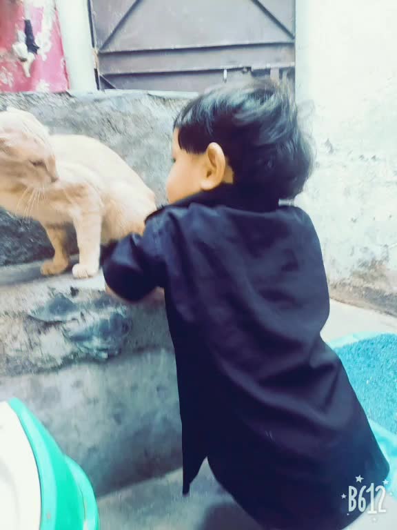 @md aalim