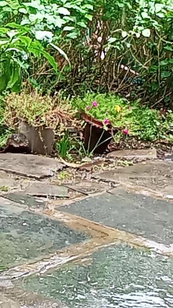 @Bhanu Sri