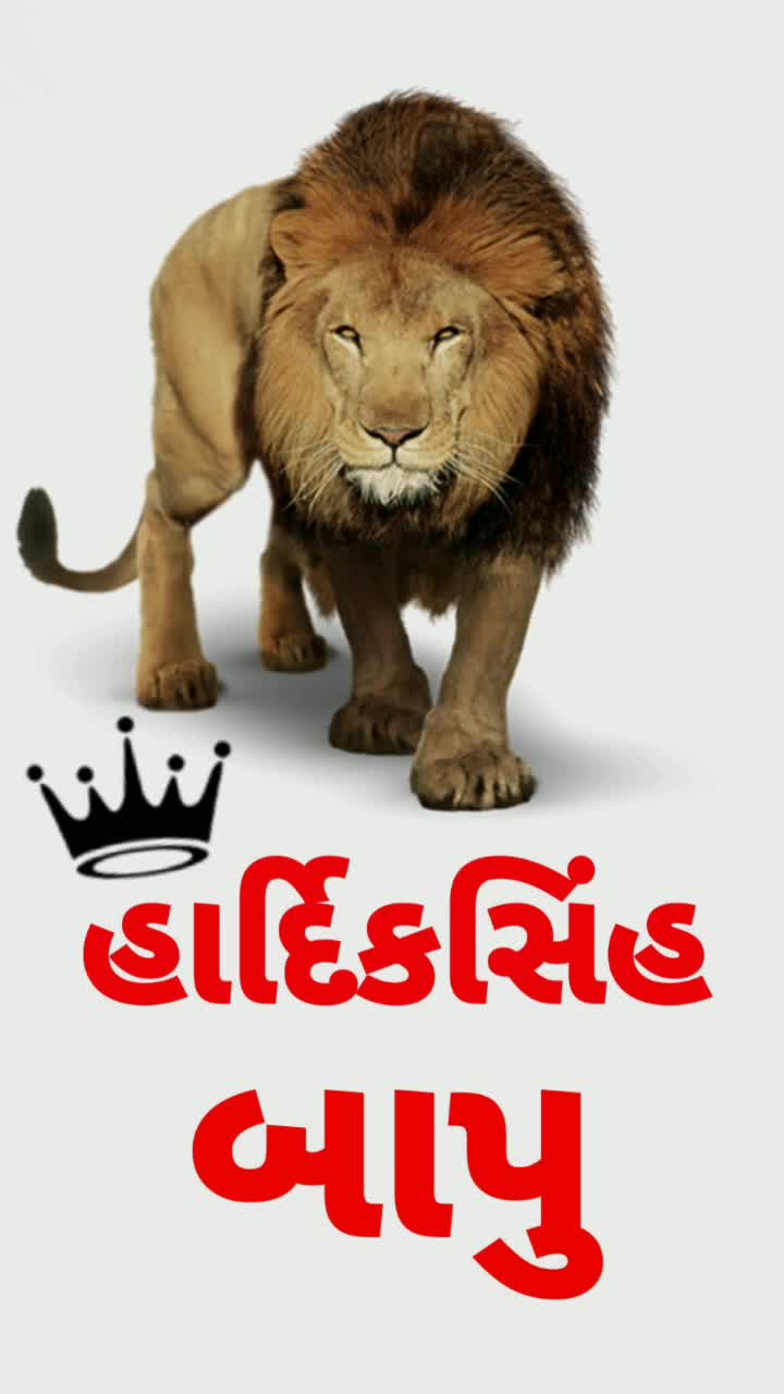@vipulsinhvaghela