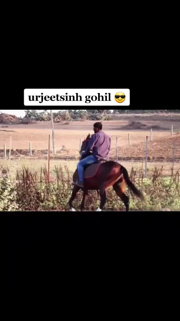 @rajpalsinh_jadeja