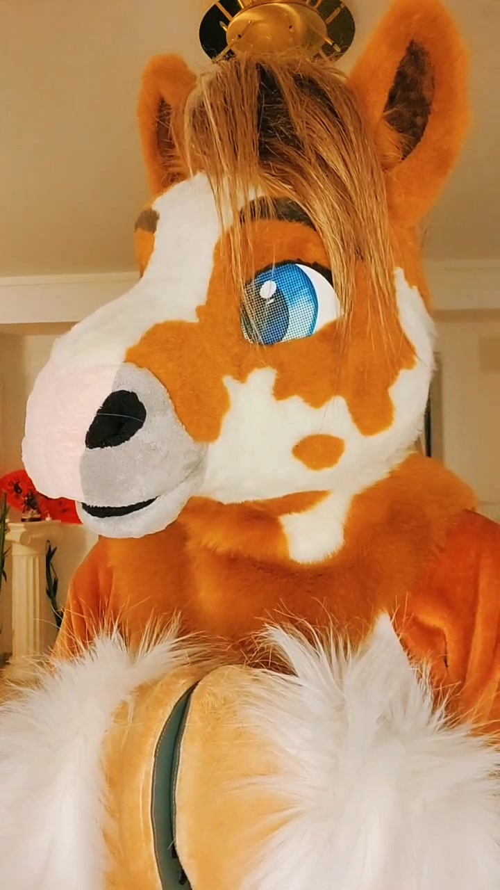 @SeaNoodles