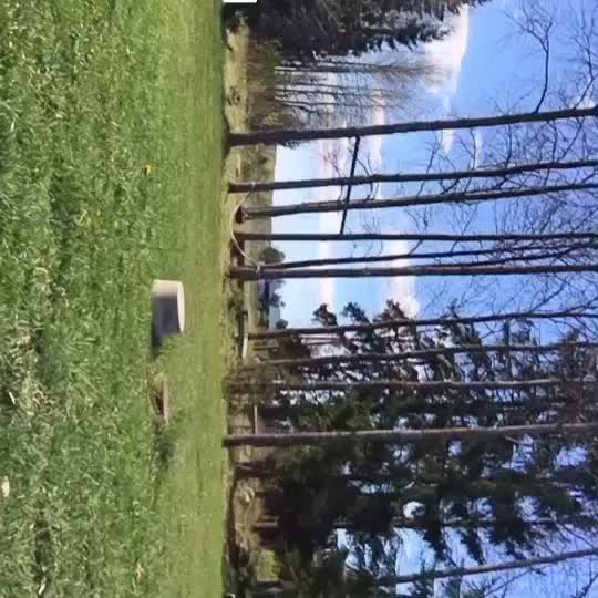 @gymnastic {1 k}