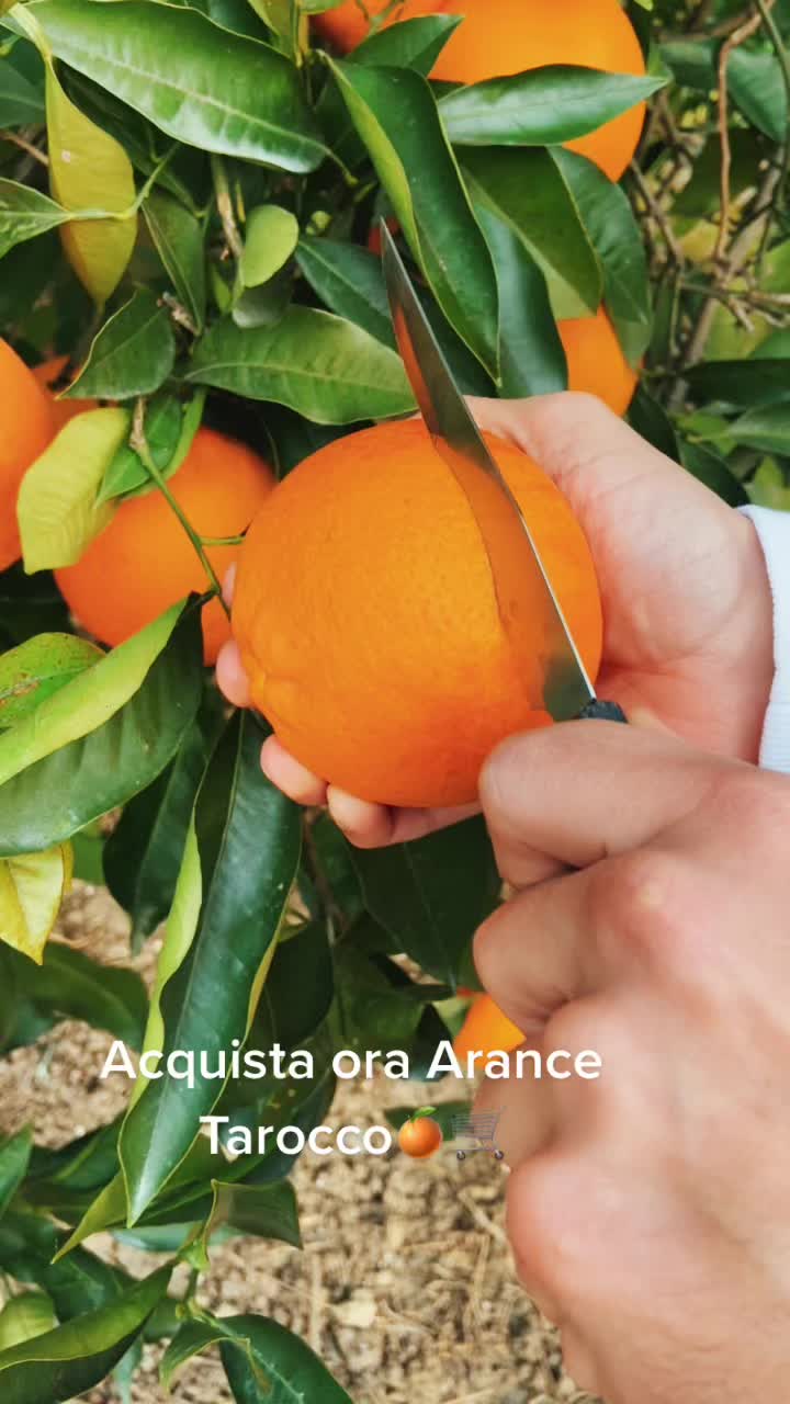 @laroccaagrumi.it