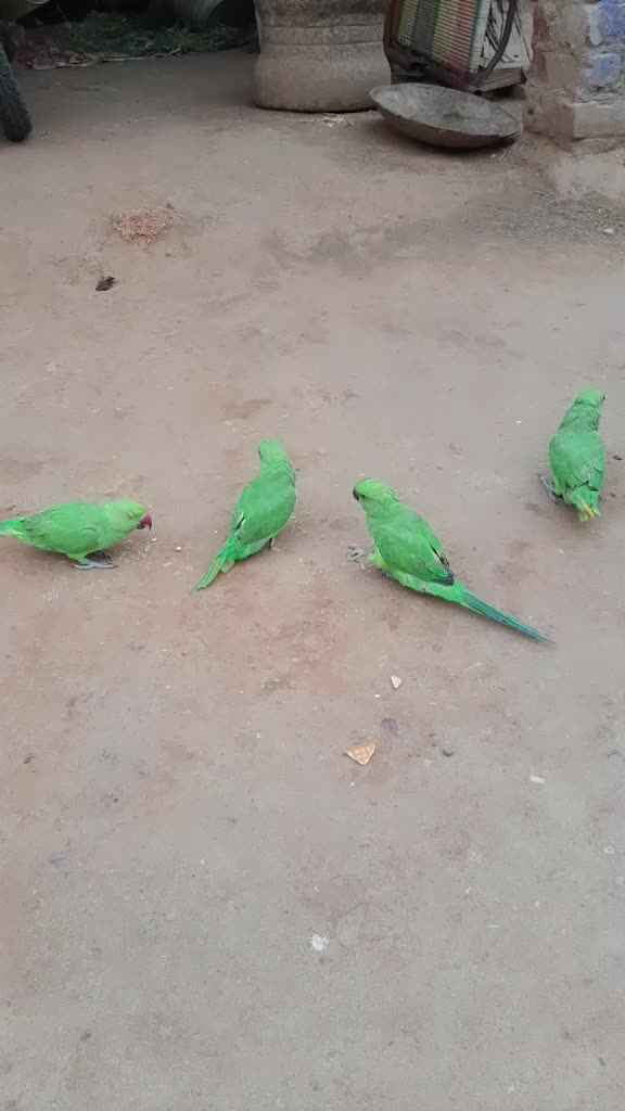 @Sasi Kumar