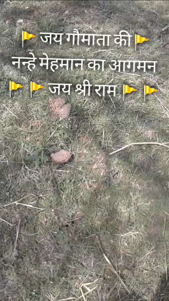 @pawandasbairagi💜PK