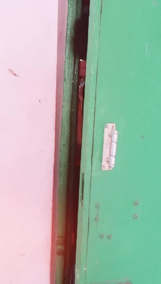 @yogii